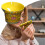 Porcelain Tea Strainer Tea Utensils for Single Cup Effective Ceramic Tea Accessories Infuser 4