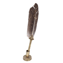 Feather Quill Pen Set with 5 Interchangeable Nibs, Ink Bottle & Holder, Gray