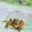 Steel Wire Crab Catching Tool Silver 2pcs 9