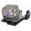 Replacement Bulb with Housing for Optoma Projector TX735, Bright Image Restoration, Easy Install 1