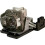 Replacement Bulb with Housing for Optoma Projector TX735, Bright Image Restoration, Easy Install 2