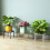Modern Simple Styles Metal Plant Rack Rusts-cream white 3