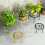 Modern Simple Styles Metal Plant Rack Rusts-cream white 6