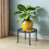 Modern Simple Styles Metal Plant Rack Rusts-cream white 7