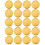 20 Pieces Gold Discs Binder Rings Plastic Book Binding Discs for Notebook and Planner Scrapbooking (Gold) 1