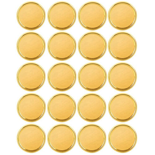 20 Pieces Gold Discs Binder Rings Plastic Book Binding Discs for Notebook and Planner Scrapbooking (Gold) 1