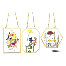 3 Marcos de Flores Prensadas con Pinzas, Marcos de Vidrio Dobles para Colgar en la Pared con Cadena de Metal para Flores Secas Prensadas.