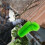 2 Pcs Gutter Cleaning Brush Roofing Tool Rain Gutter Guard Cleaner Tool with 2 Brush Heads Adaptation Thread Interface 5