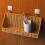 Practical Moisture Resistant Wall Basket Great For Kitchen Or 6