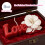 Romantics Love Letter Hibiscus Candle Making Mold Silicone 6