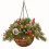 Pre-Lit Hanging Basket Indoor Outdoor Warm White LED Pine 3