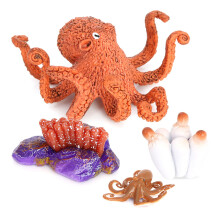 Octopus Growth Cycle,Animal Growth Cycle Biological Model for Kids Education Insect Themed Party Favors 2436