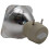 Projector Replacement Bulb for InFocus IN104, OEM Lamp Only, 240‑Day 5