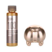 User Friendly Quick Drying Water Paint For DIY-Champagne