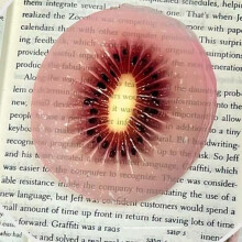10Pcs Realistic Fruit Shape Acrylic Bookmarks Book Page- kiwi