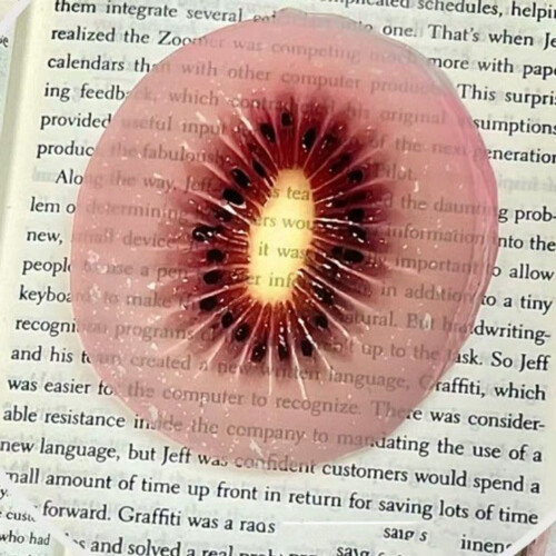 10Pcs Realistic Fruit Shape Acrylic Bookmarks Book Page- kiwi