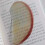 10Pcs Cartoon Fruit Acrylic Bookmarks Portable Reading- apple 1