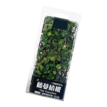 Miniature Vine Vegetation Set For Bookshelves Desktop-B