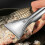 Nonrust Steel Fish Descaler Tool Efficient Scale-       3PCS 4