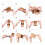 25 Pieces Macaron Boxes with Clear Display Window Macarons Container or Packaging Box Kit for Chocolate Desserts Cake A 10