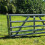 4X T Post Gate Hinge Pins Heavy Duty T-Post Gate Hinge for Farm Gate Garden and Backyard Gate 7