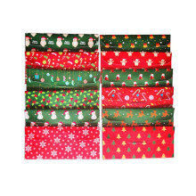30 Christmas Budget Envelopes + 30 Budget Sheets + 48 White Label Stickers,Wallet Cash Saving System for Money,Receipt