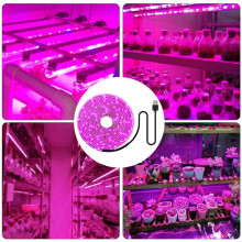 4X LED Grow Light Full Spectrum 5V USB Grow Light Strip 2835 LED Phyto Lamps for Plants Greenhouse Hydroponic 100cm