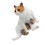 Elegant Cats Model Decorative PVC Compacts Shelf-Style A 1