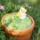 Elegant Pet Ashes Container with Secure Lid For Shelf-Rebirth 6