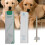100Pcs Disposable Thermometers Protectors For Accurate-A 5