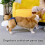 11PCS Ventilated Net Canine Waste Management Shorts-S 3