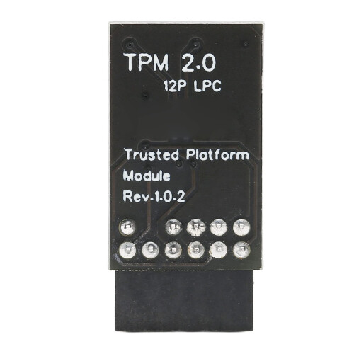 12 Pin TPM 2.0 Trusted Platform Module for PC Motherboard with Hardware Key Protection and Secure Boot 1