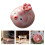 Bubble Blowing Pottery Fish Tisane Pet Decors For Tisane Table 2