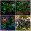 Festival Glowing Bat Decoration Plan For Open Ceiling Deck 2