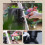 Large 3L Garden Watering Can With Ergonomic Handle-3L 4