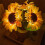 C Rechargeable Sunflower LED Simulation Night Light Table Lamp Simulation Flowers Decorative Desk Lamp 5