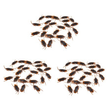 36 Pieces Cafards en Plastique Simules pour Toussaint Jouet D'Accessoires Trompeurs Decoration de Tour