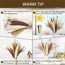 240Pcs Dried Pampas Grass Bouquet Decor, Boho Home Room Wedding Party Arrangements,Fall Dry Flowers Bundles Bulk Tall