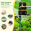Household WIFI Solar Irrigation Timer  APP Control Automatic Irrigation System Outdoor Water Timer Garden Tool 5