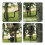 Trail Camera Tree Mount: 360 Degrees Adjustable Game Camera Mount with 1/4 Inch Screw, Easy Installation 4 Pack 6