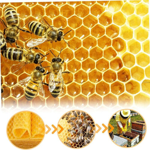 Beeswax Sheets 60Pcs Beeswax Foundation Sheets Wax Foundation for Bee Frames Natural Honeycomb Sheets Beeswax Sheets 1