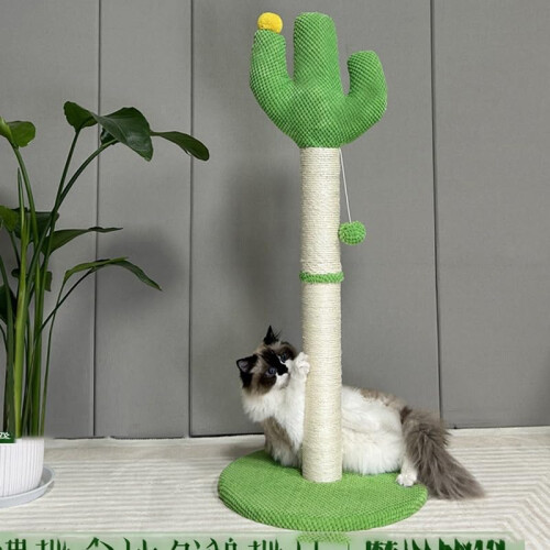 Cactus Cat Scratching Post with Sisal Rope, Small Vertical Cat Tree with Dangling Ball for Space Saving 1