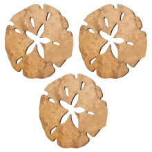 Wooden Sand Dollar Wall Decor, Summer Wall Decor SandDollars Wall Decor,Wood Round Sand Dollar Wall ArtOutdoor 35x35cm