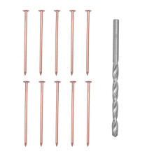 10pcs Copper Nails for Killing Trees Stump Root, 3.15 Inch Long Pure Copper Nails Bulk with Drill, Stump Removal Spikes