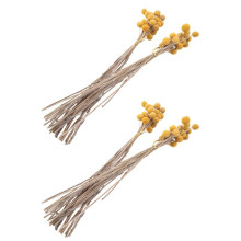 80Pcs Dried Craspedia Flowers Dried Billy Button Balls Flowers,Dried Flower Bouquet for Arrangements Wedding Home Decor