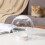 Bubble cat muzzle – safe, comfortable restraint with soft bubbles, prevents biting, ideal for vet visits 4