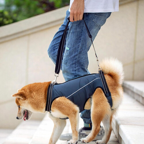 Hebegurt Altere Hunde  Adjustable Aid for Elderly or Weak Dogs 2