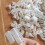 20Pcs Light Weight Queen Bees Cages Plastic Safety Beekeep Cage 5