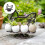Cast Iron Eggs Storage With Chicken Shape Decorative Piece-4 2