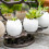 Cast Iron Eggs Storage With Chicken Shape Decorative Piece-4 4